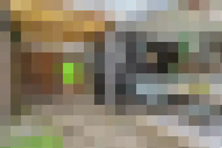Dingshoflaan 94 Zwolle thumbnail 37