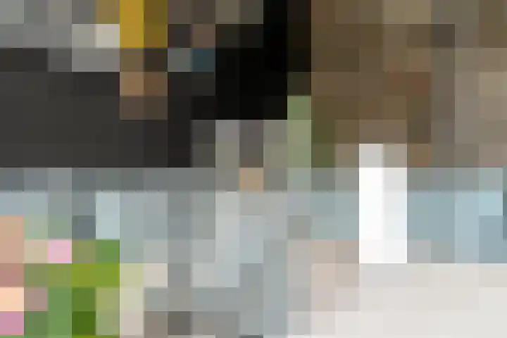 Dingshoflaan 94 Zwolle thumbnail 40