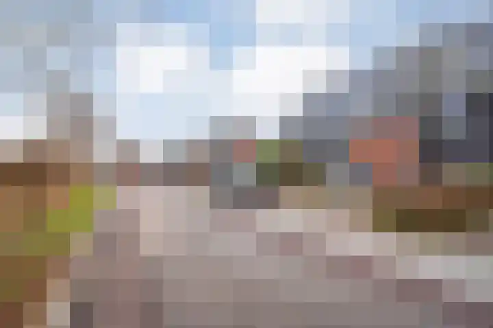 Dingshoflaan 94 Zwolle thumbnail 5