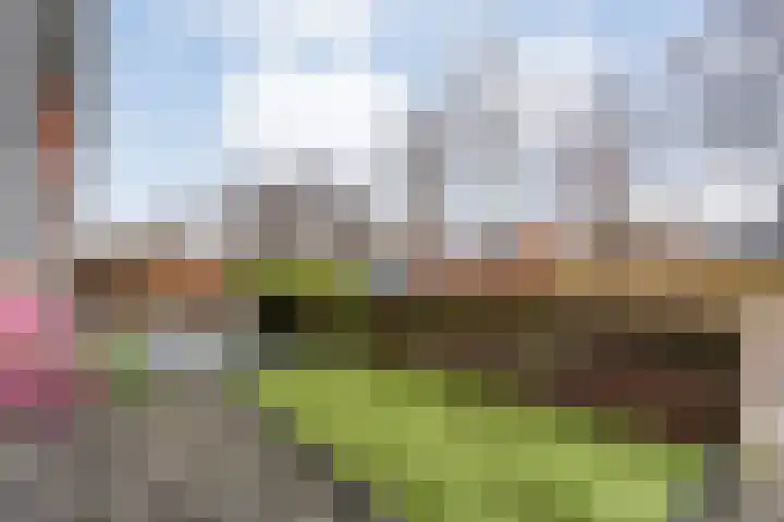 Dingshoflaan 94 Zwolle thumbnail 6