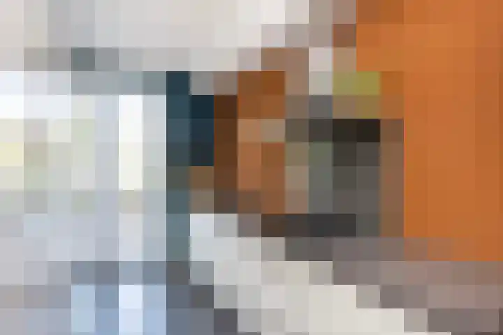 Dingshoflaan 96 Zwolle thumbnail 12