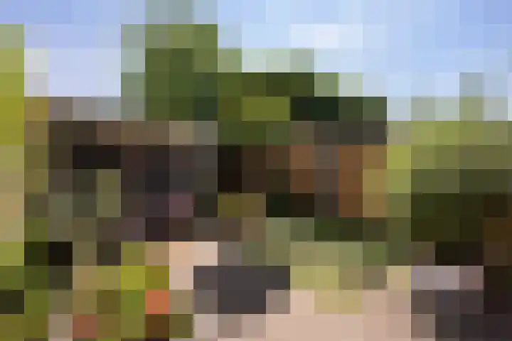 Dingshoflaan 96 Zwolle thumbnail 29