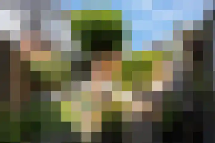 Dingshoflaan 96 Zwolle thumbnail 30
