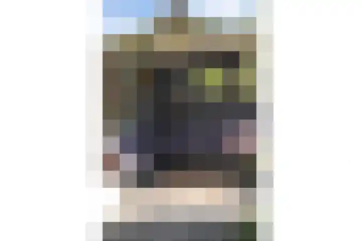 Dingshoflaan 96 Zwolle thumbnail 31