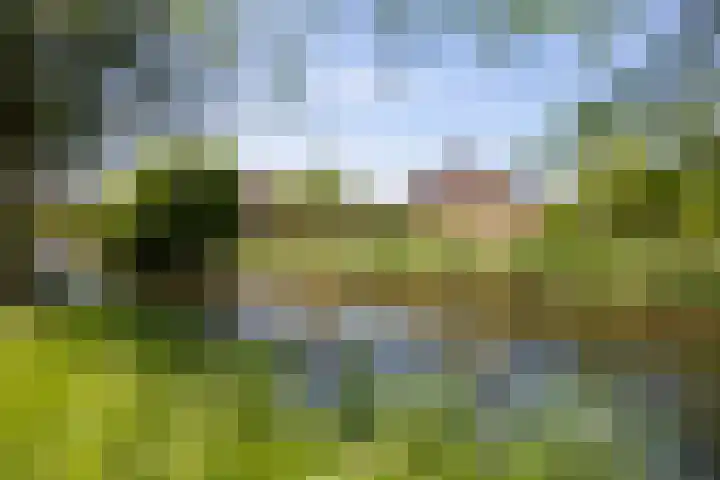 Dingshoflaan 96 Zwolle thumbnail 32