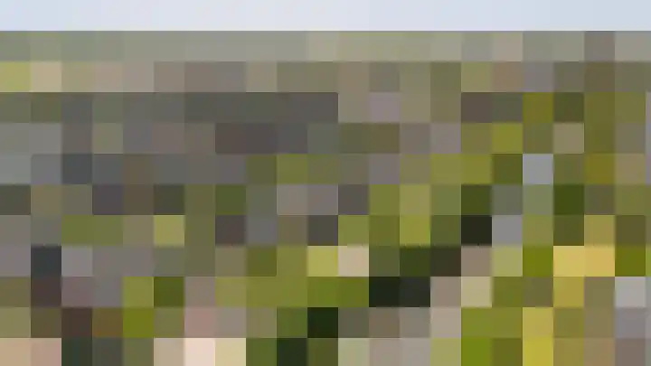 Dingshoflaan 96 Zwolle thumbnail 33