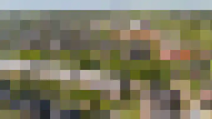 Dingshoflaan 96 Zwolle thumbnail 34