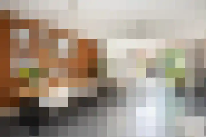 Dingshoflaan 96 Zwolle thumbnail 4