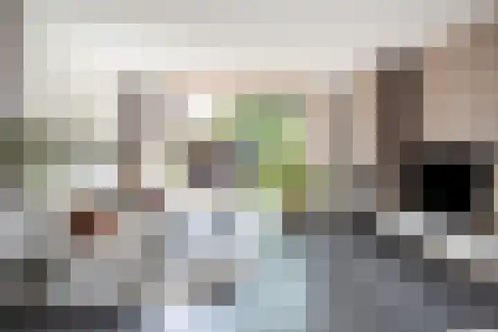 Dingshoflaan 96 Zwolle thumbnail 6