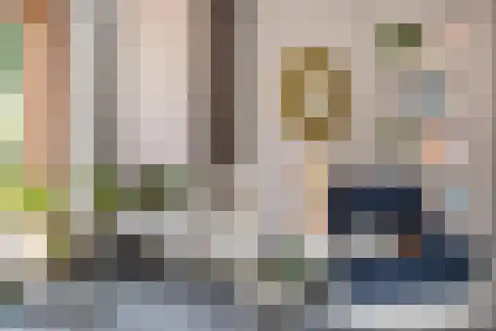 Dingshoflaan 96 Zwolle thumbnail 7