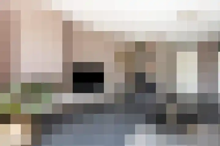 Dingshoflaan 96 Zwolle thumbnail 9