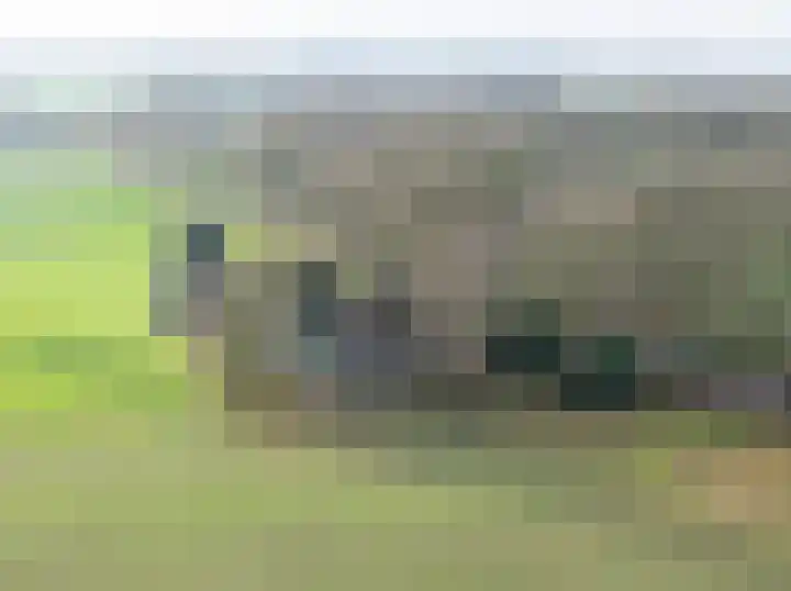 Dingshofweg 10 en Olst