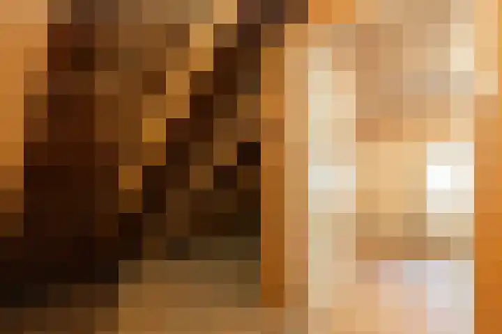 Dingshofweg 10 Olst thumbnail 13