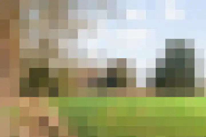 Dingshofweg 10 Olst thumbnail 14