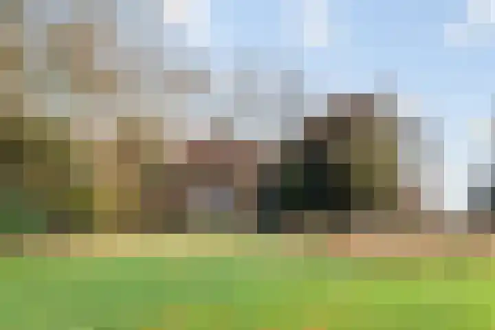 Dingshofweg 10 Olst thumbnail 15