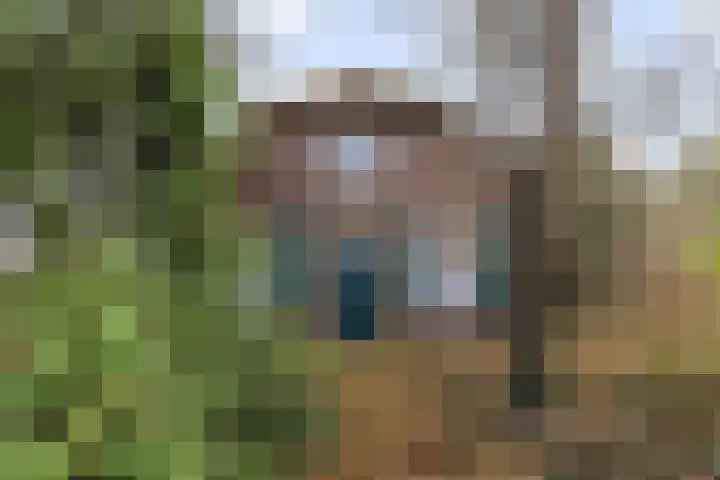 Dingshofweg 10 Olst thumbnail 16