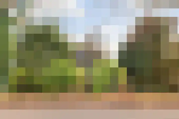 Dingshofweg 10 Olst thumbnail 17
