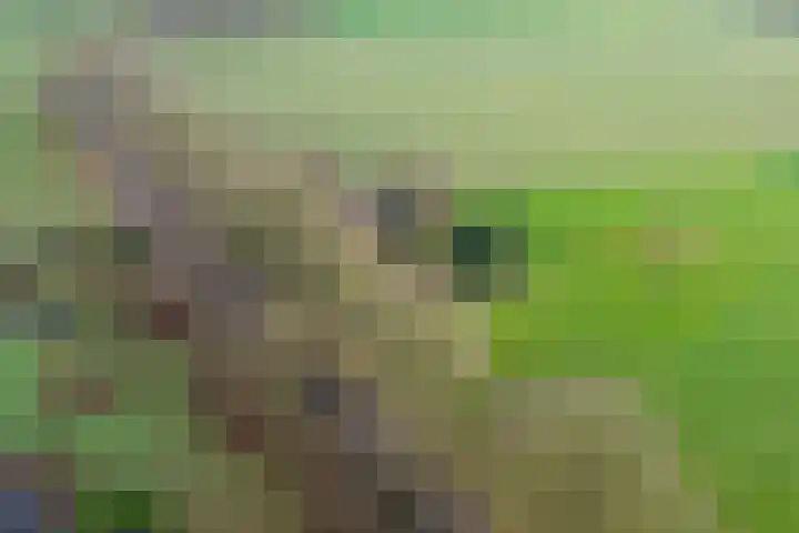 Dingshofweg 10 Olst thumbnail 18
