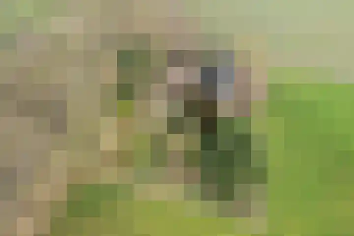 Dingshofweg 10 Olst thumbnail 19