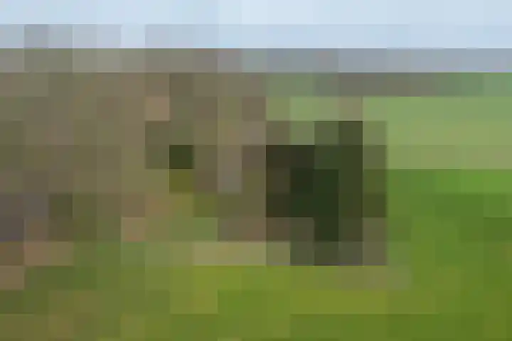Dingshofweg 10 Olst thumbnail 20