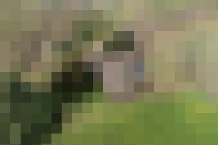 Dingshofweg 10 Olst thumbnail 21