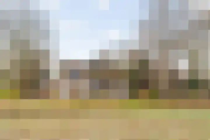 Dingshofweg 10 Olst thumbnail 23