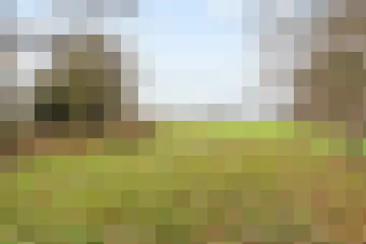 Dingshofweg 10 Olst thumbnail 24
