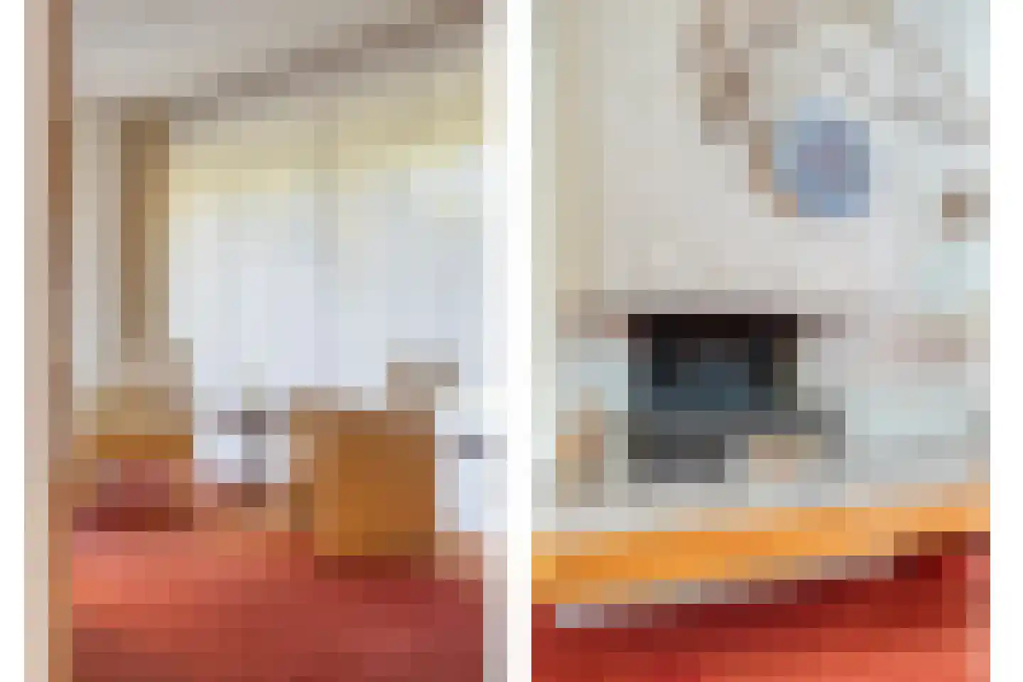 Dingspel 32 Zuidwolde thumbnail 17
