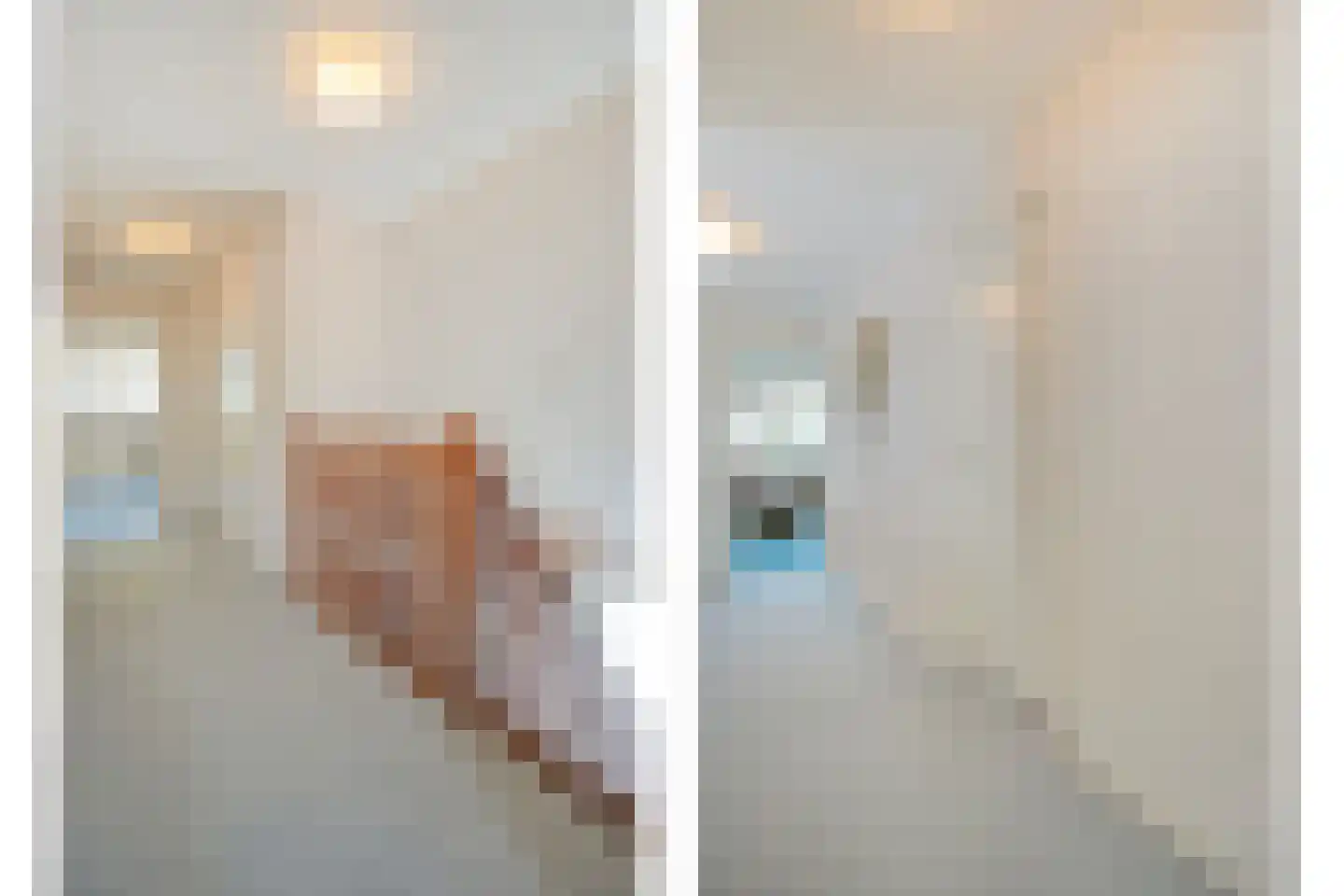 Dingspel 32 Zuidwolde thumbnail 36
