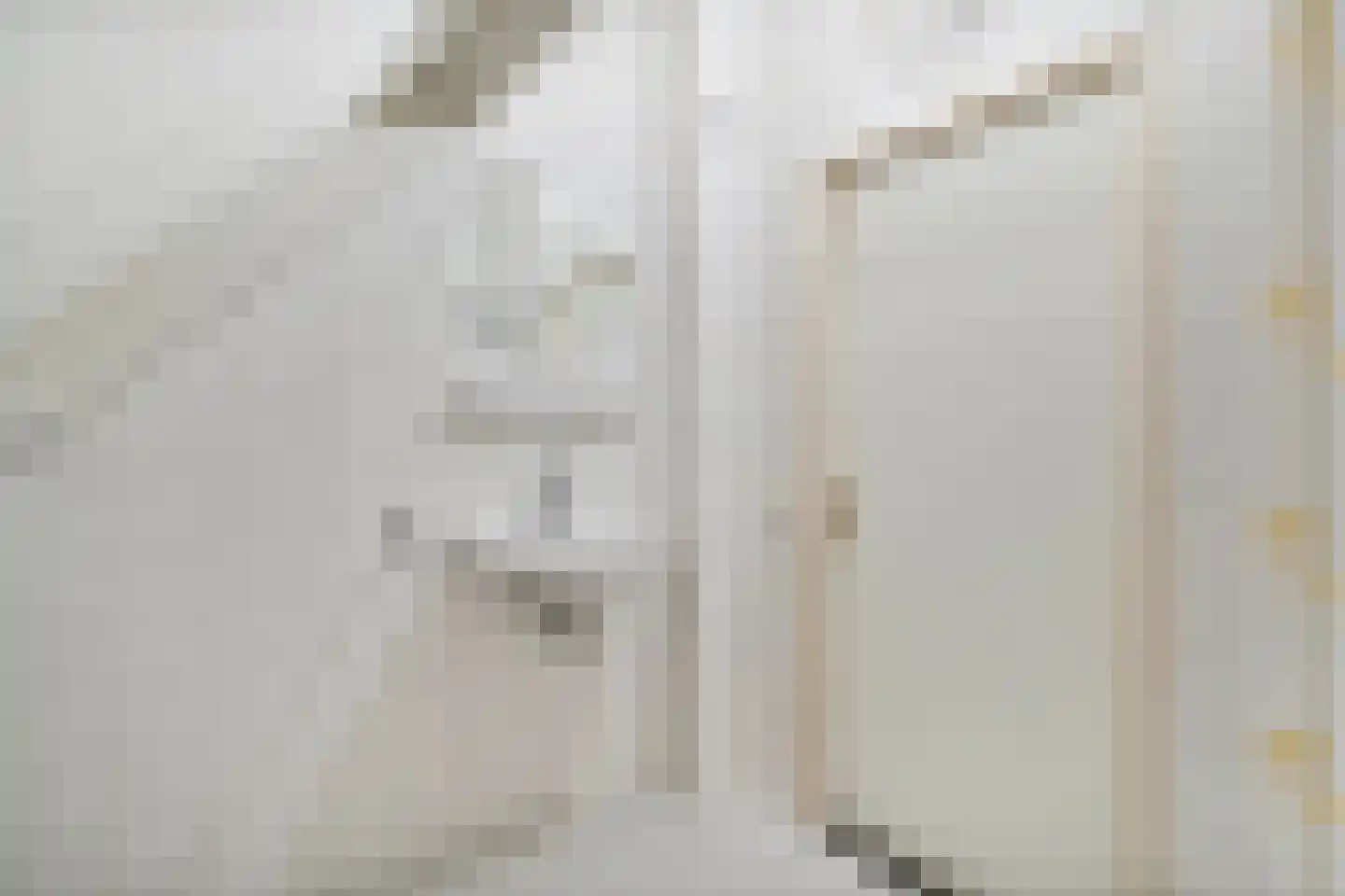 Dingspel 32 Zuidwolde thumbnail 45