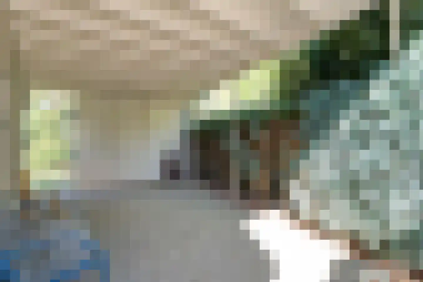 Dingspel 32 Zuidwolde thumbnail 50