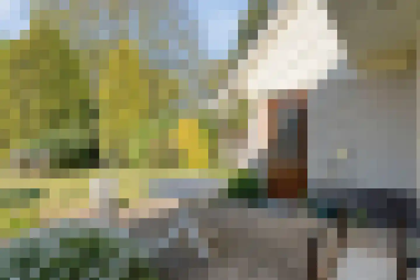 Dingspel 32 Zuidwolde thumbnail 55