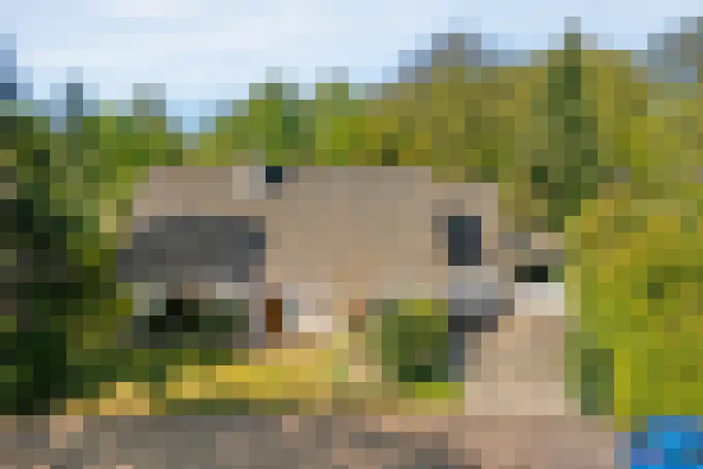Dingspel 32 Zuidwolde thumbnail 6
