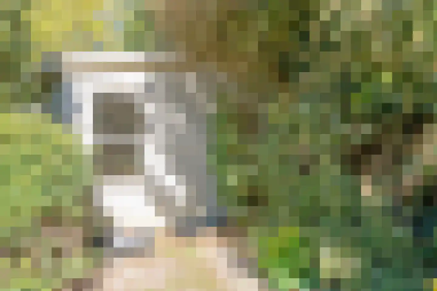 Dingspel 32 Zuidwolde thumbnail 60