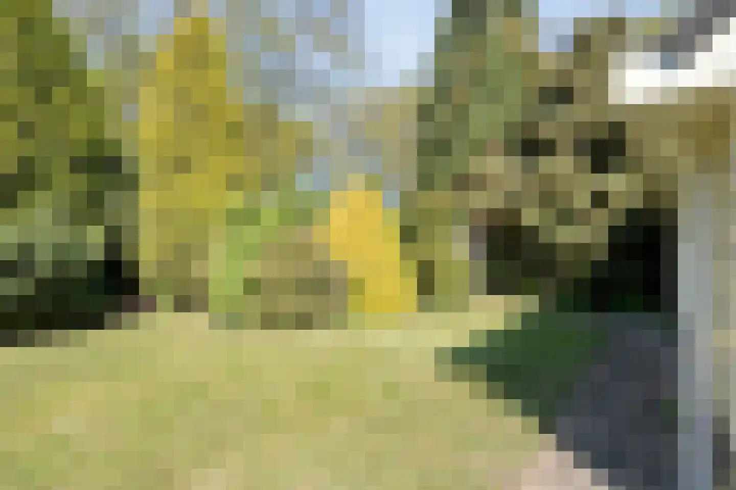 Dingspel 32 Zuidwolde thumbnail 61