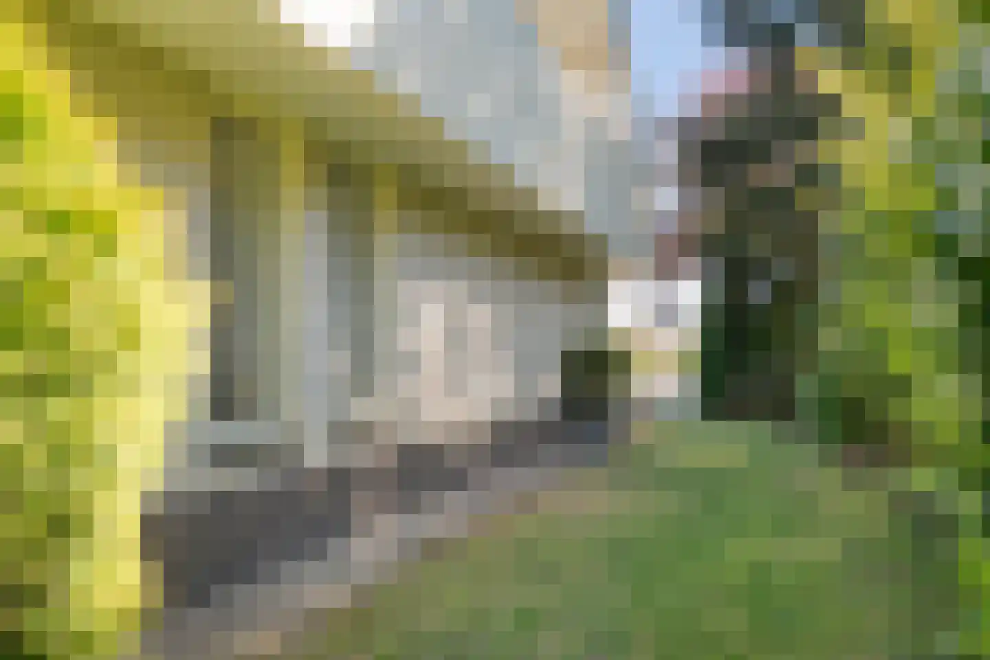 Dingspel 32 Zuidwolde thumbnail 62