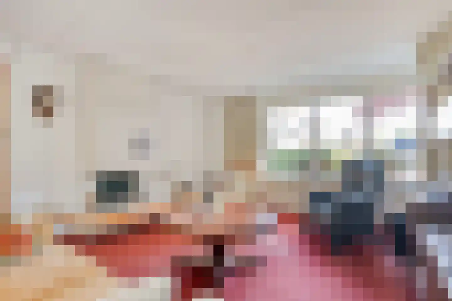 Dingspel 32 Zuidwolde thumbnail 7