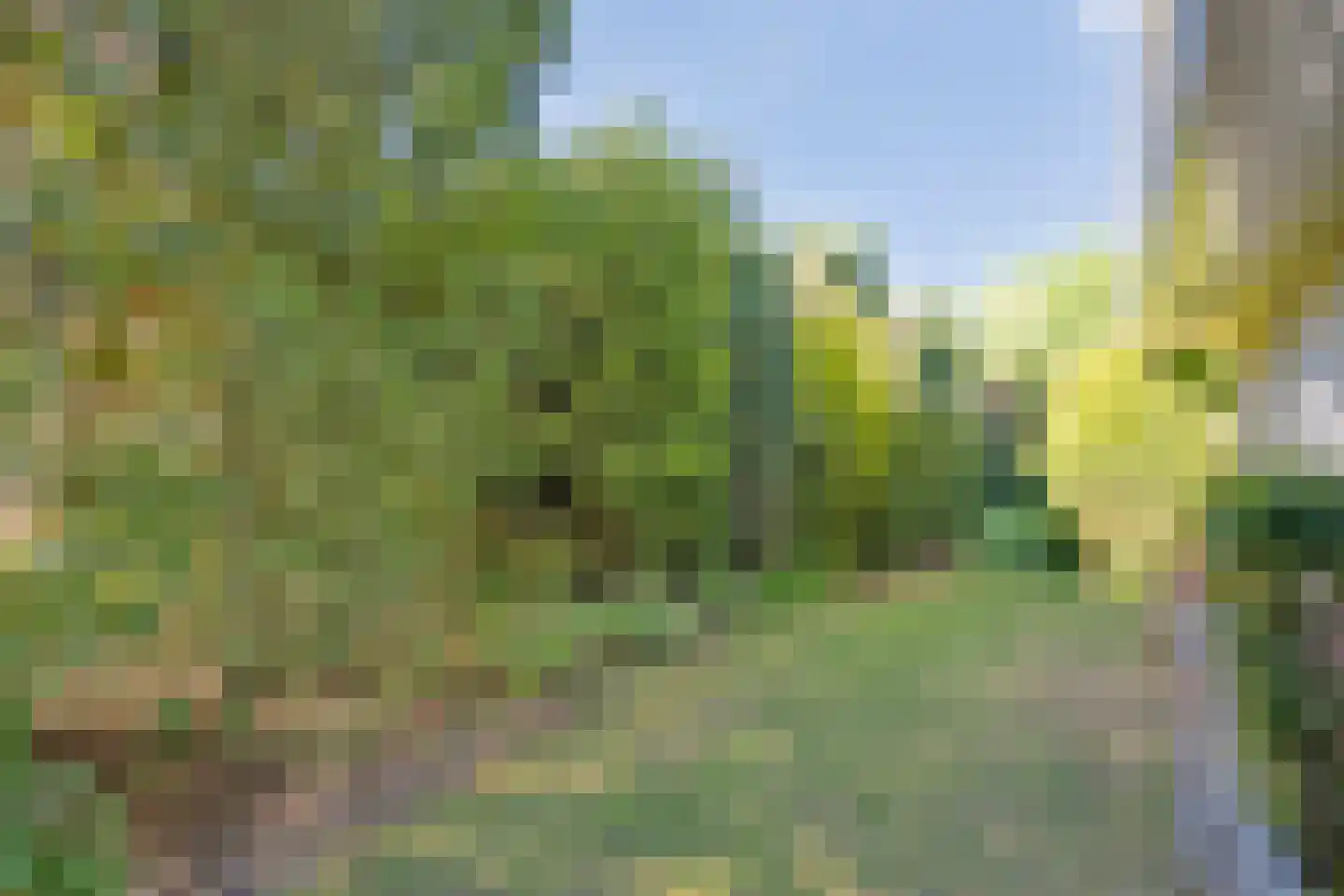 Dingspel 32 Zuidwolde thumbnail 71