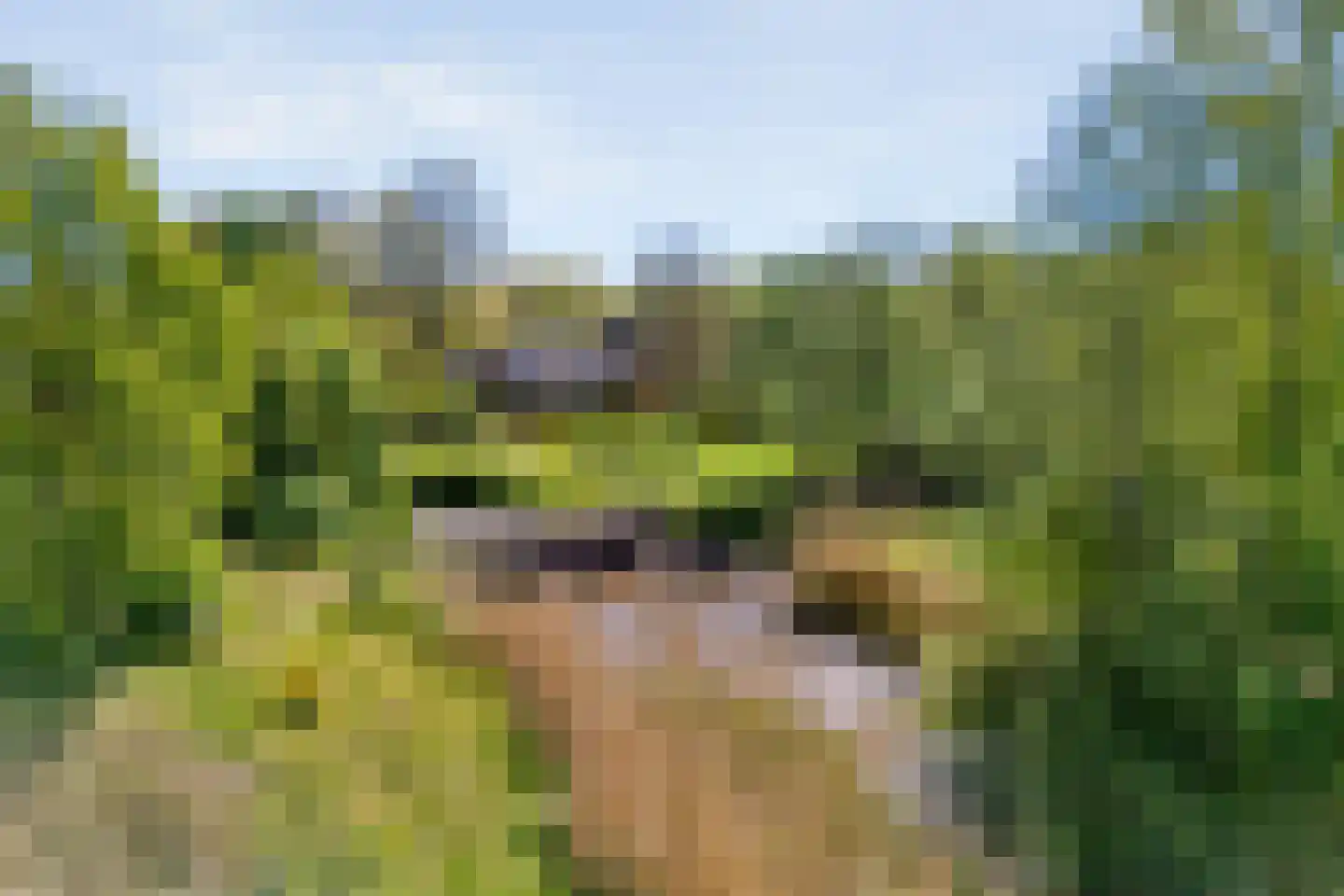 Dingspel 32 Zuidwolde thumbnail 72