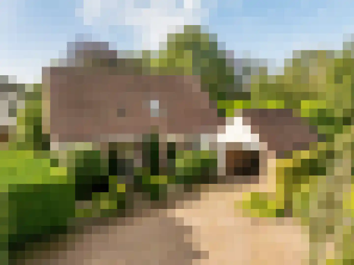 Dingspel 42 Zuidwolde