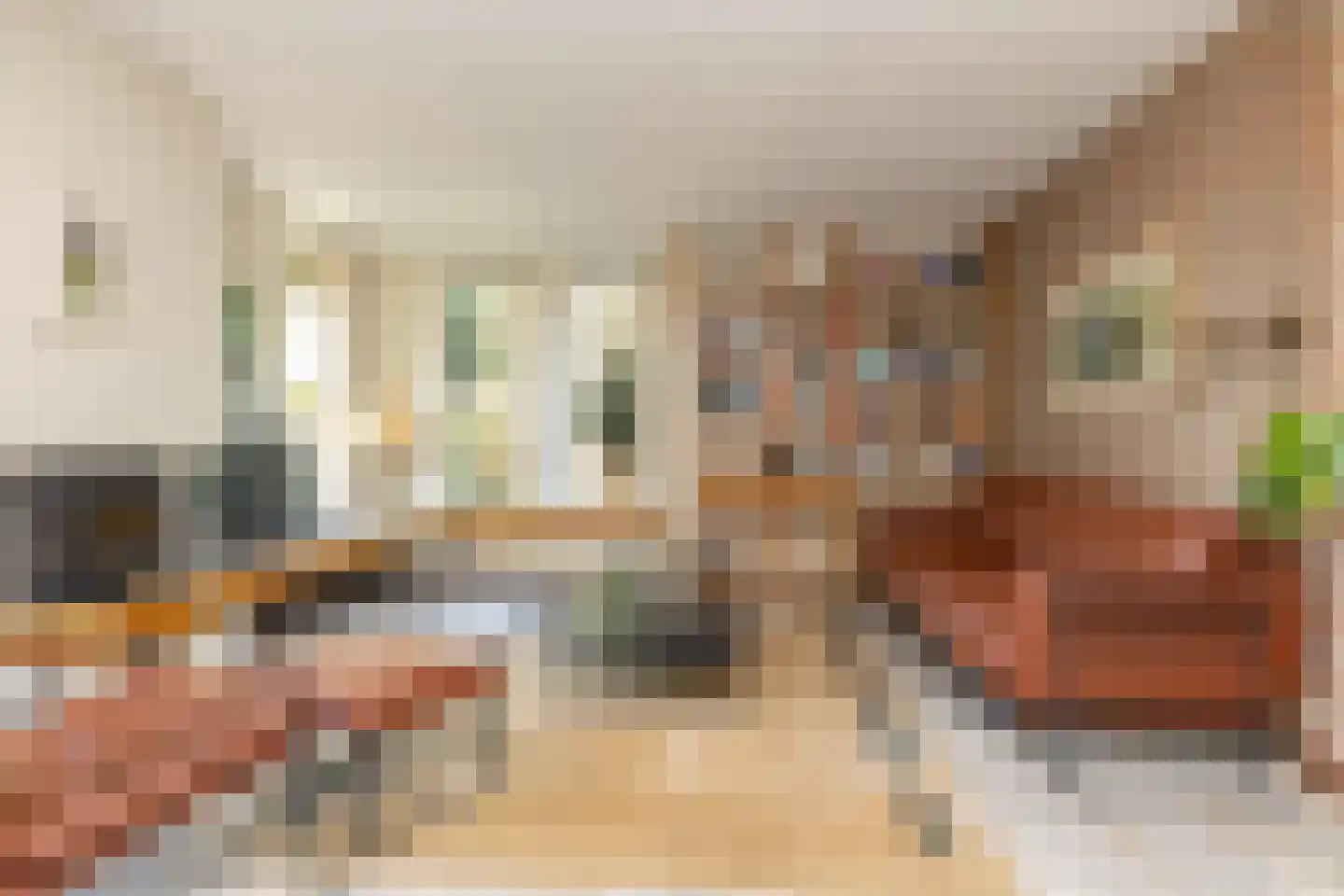 Dingspel 42 Zuidwolde thumbnail 11