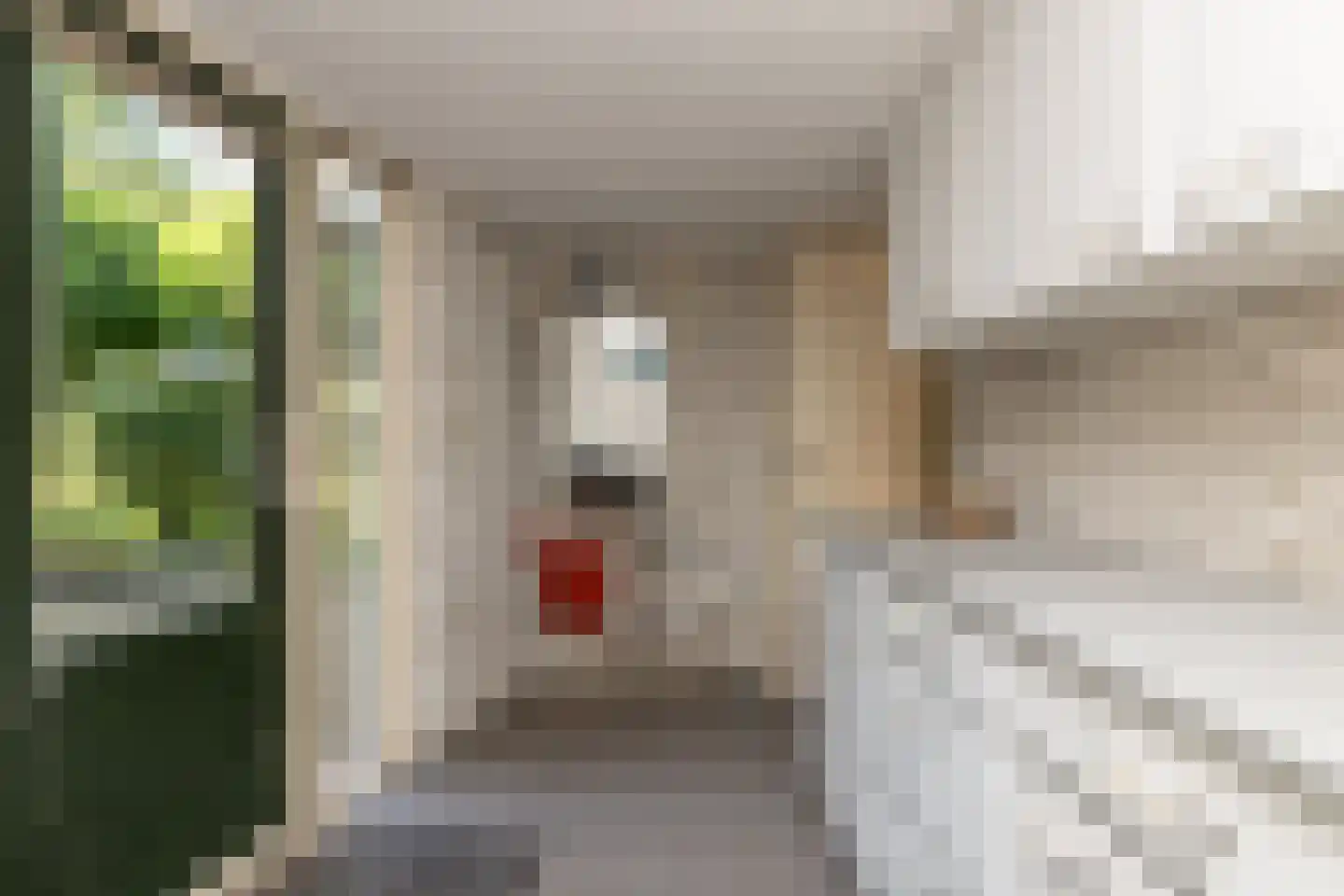 Dingspel 42 Zuidwolde thumbnail 18