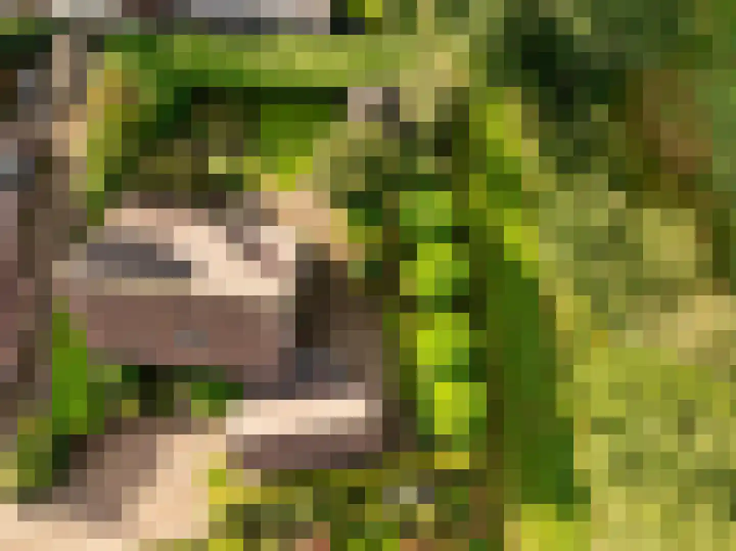 Dingspel 42 Zuidwolde thumbnail 40