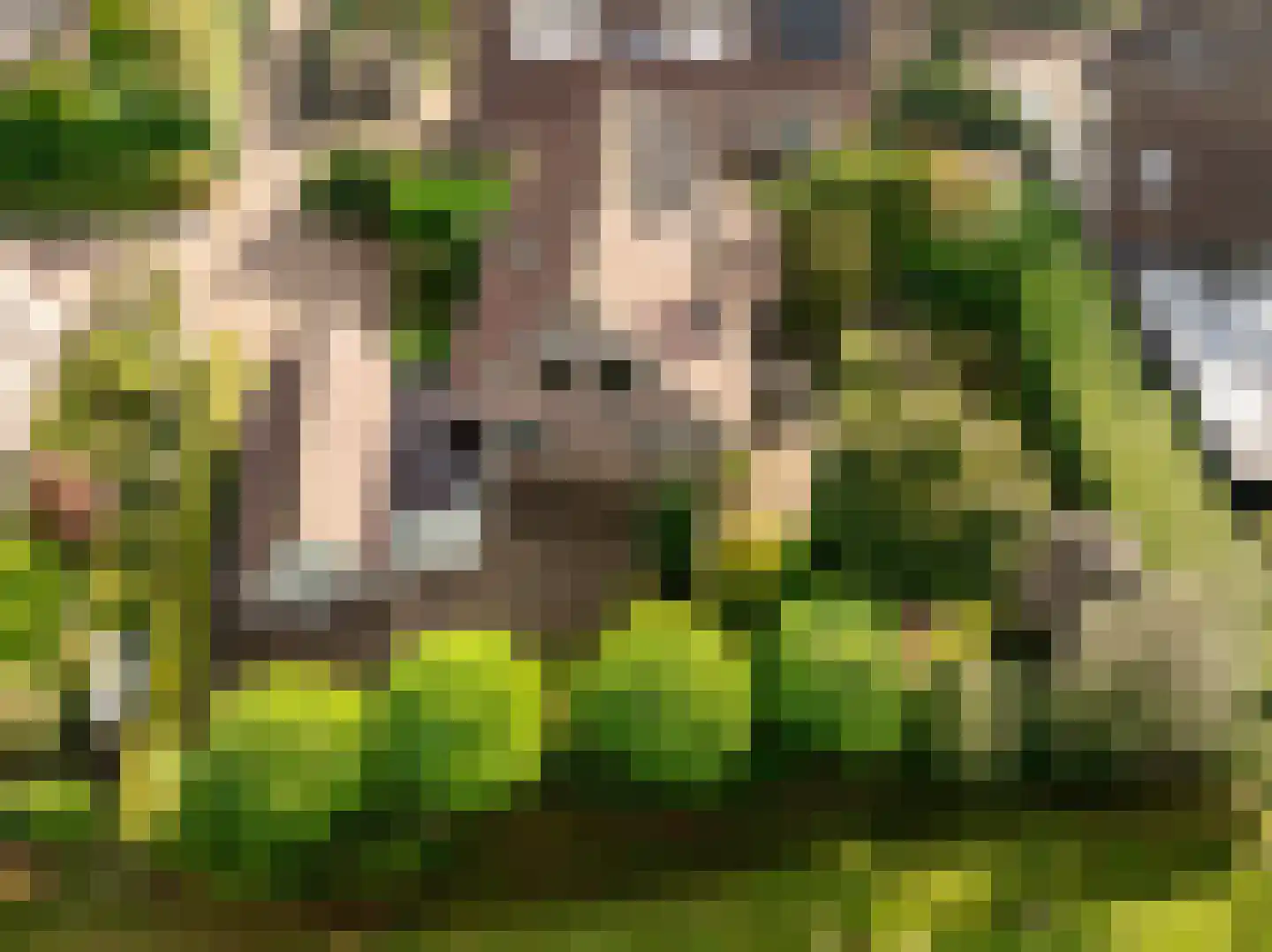 Dingspel 42 Zuidwolde thumbnail 41