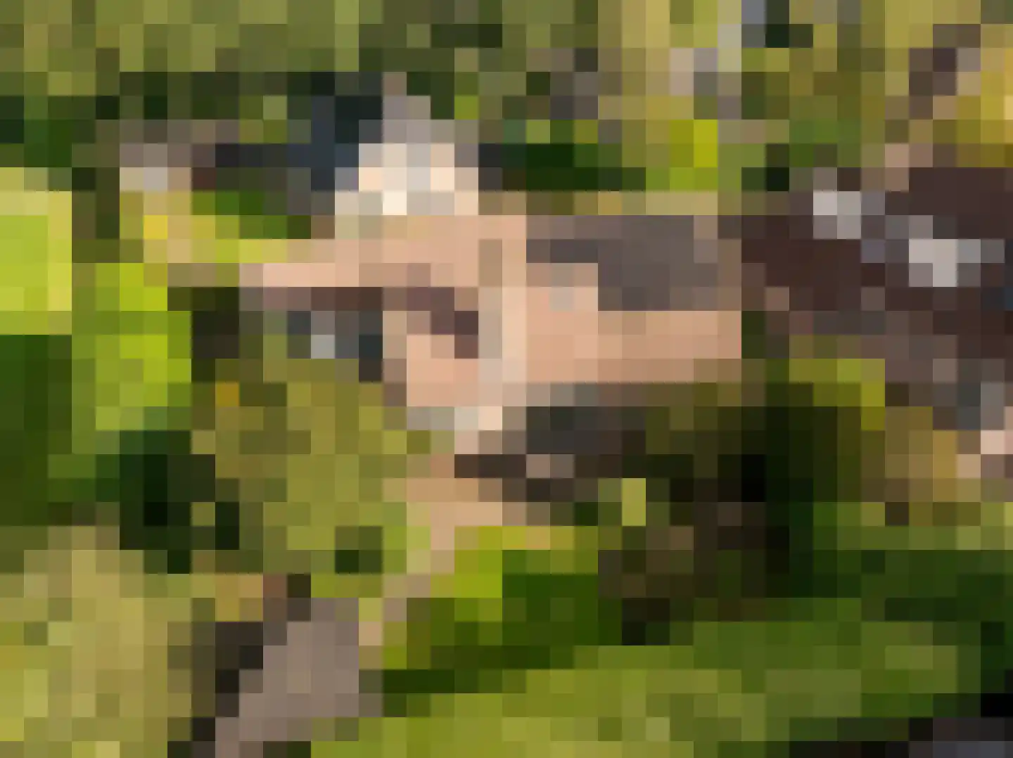 Dingspel 42 Zuidwolde thumbnail 42