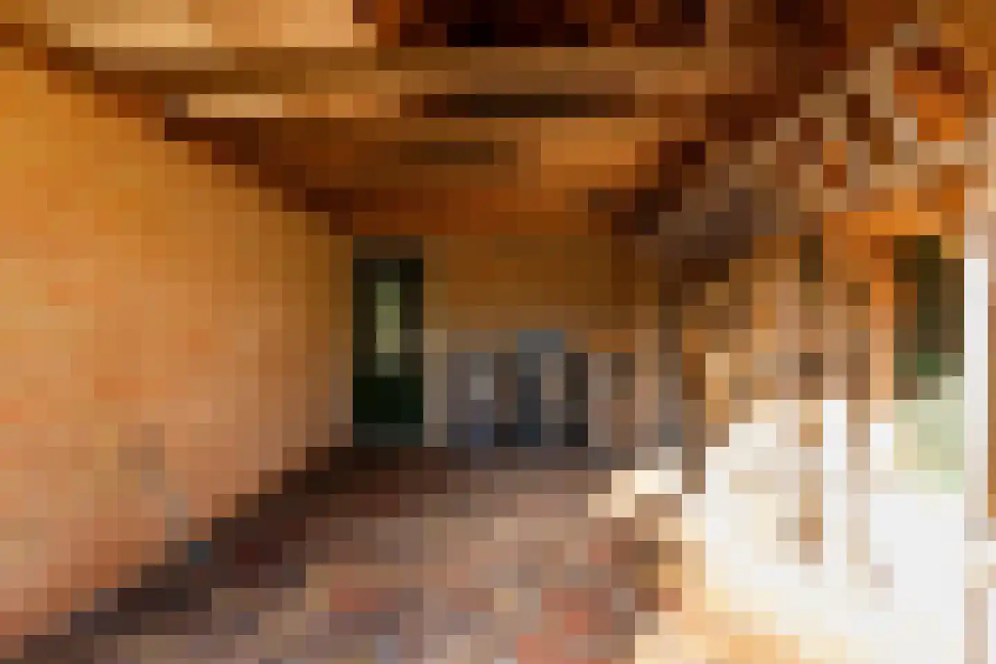 Dingspel 42 Zuidwolde thumbnail 44