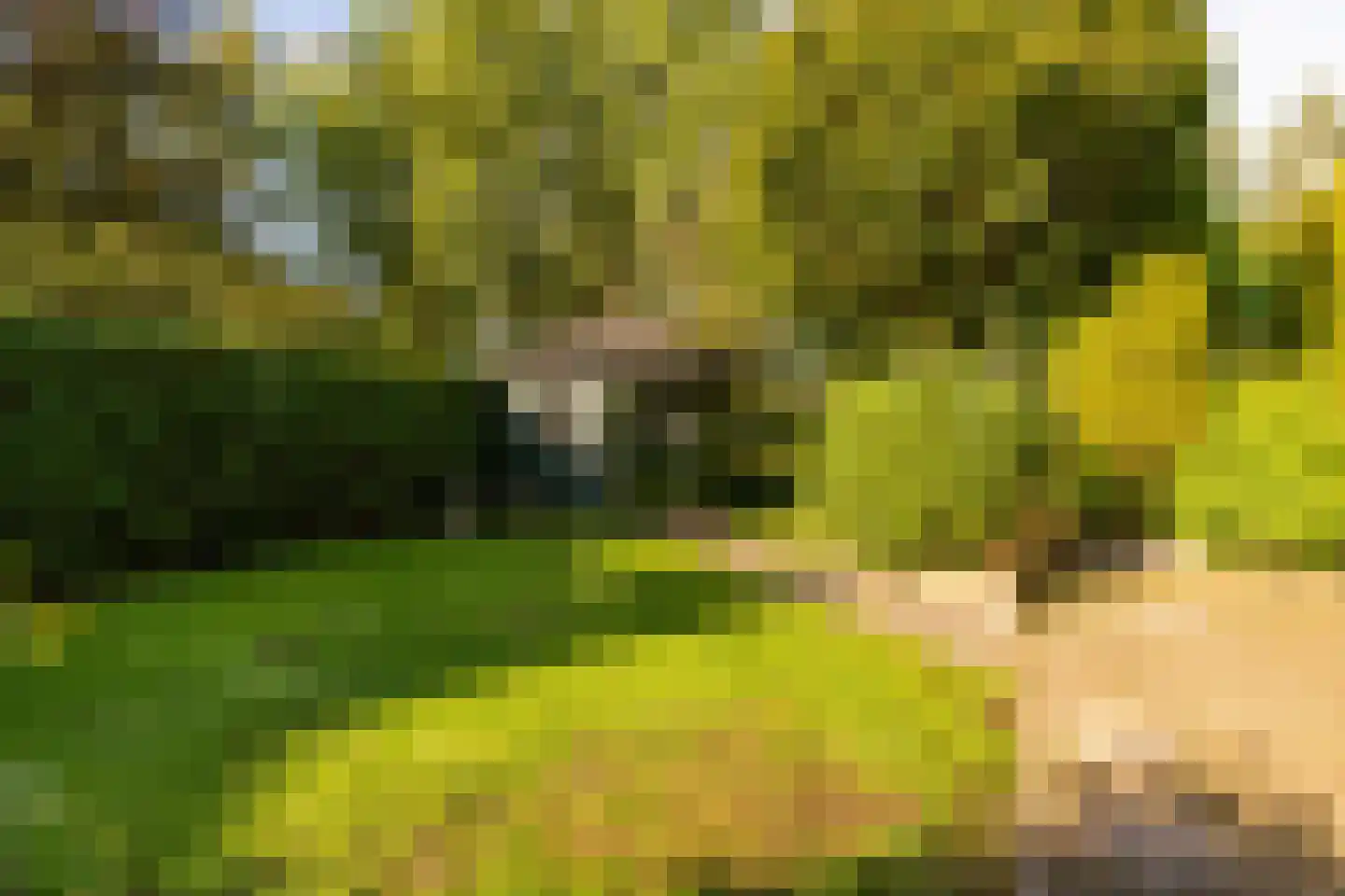Dingspel 42 Zuidwolde thumbnail 47