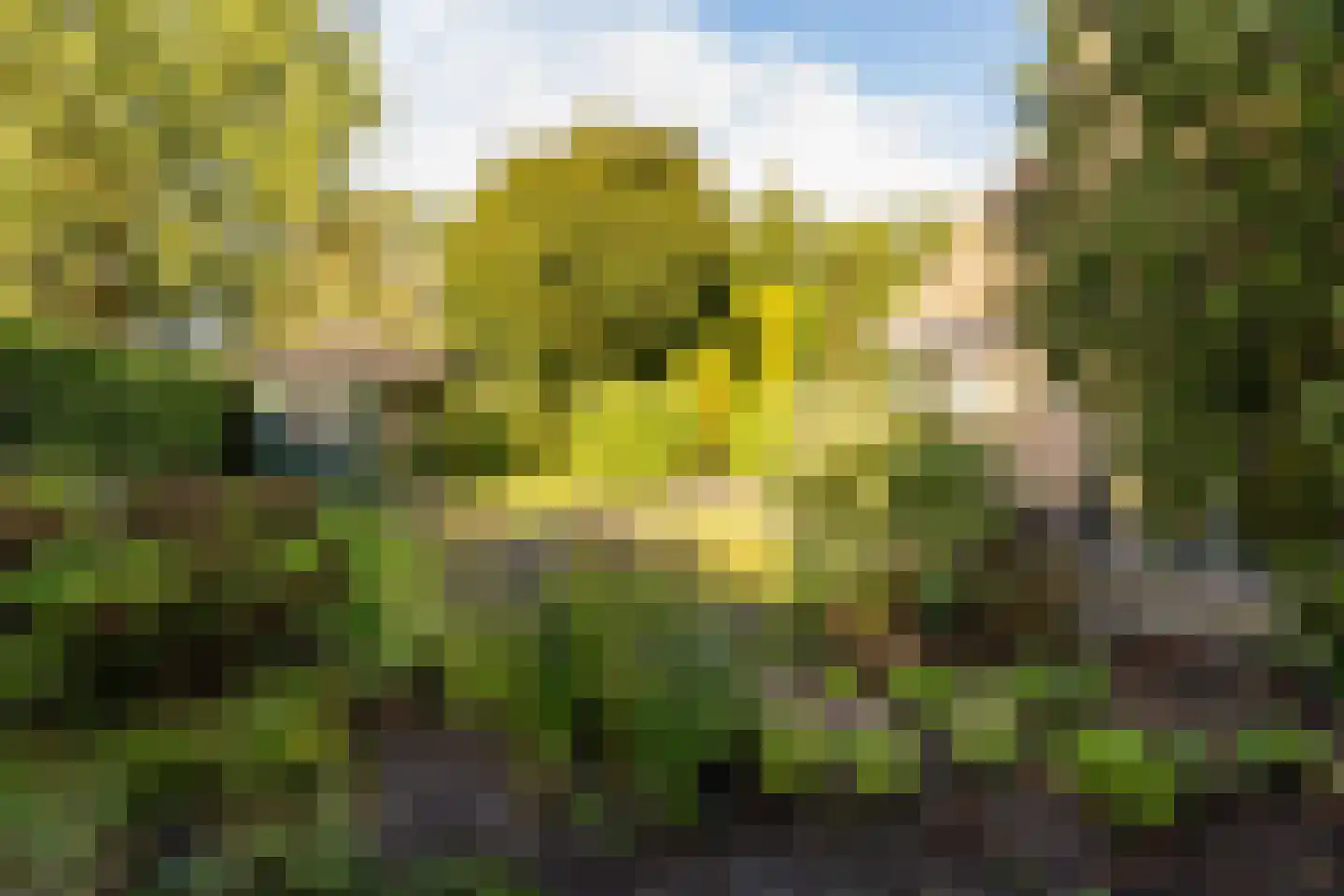 Dingspel 42 Zuidwolde thumbnail 48