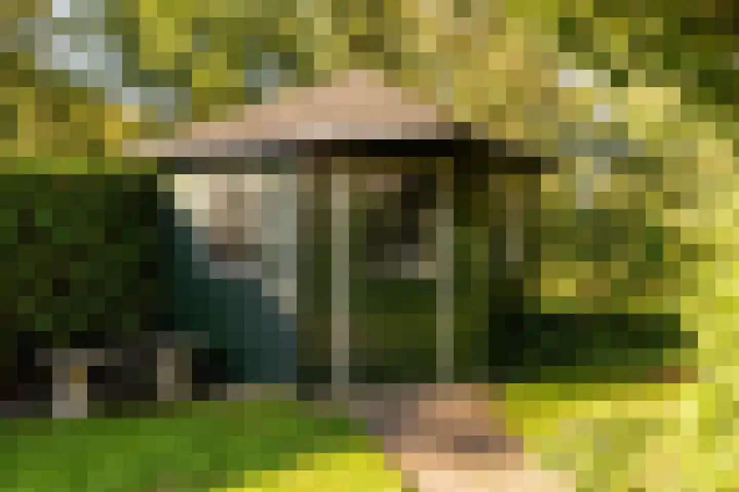 Dingspel 42 Zuidwolde thumbnail 49