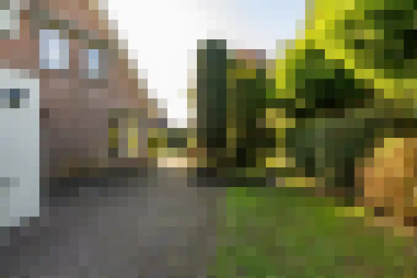 Dingspel 42 Zuidwolde thumbnail 52